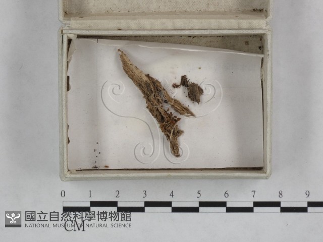 登錄號:F0023242藏品圖，第1張