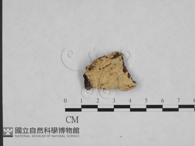 登錄號:F0024842藏品圖，第1張
