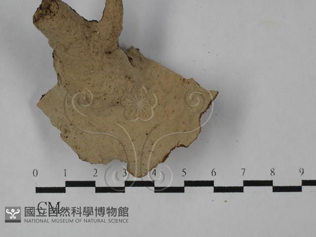 登錄號:F0028942藏品圖，第1張