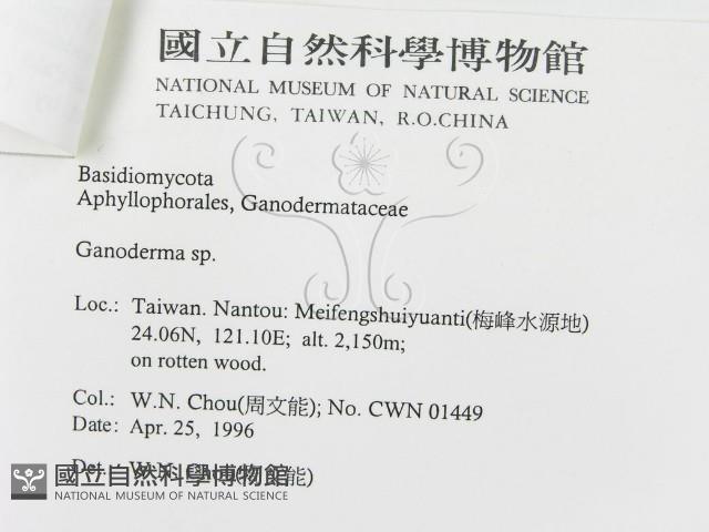 登錄號:F0004942藏品圖，第3張