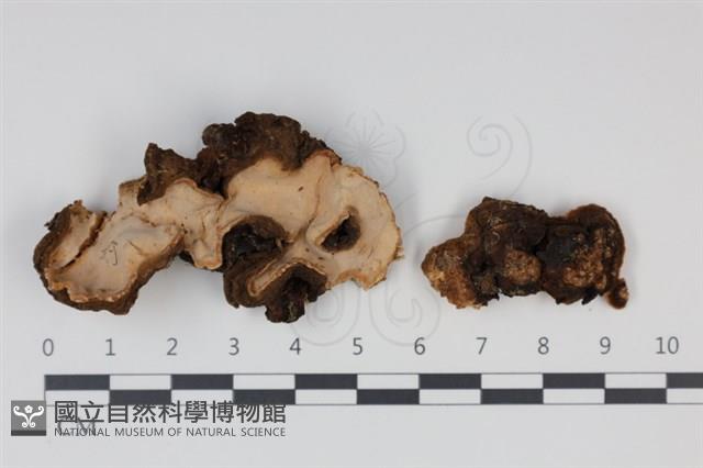 登錄號:F0034942藏品圖，第1張