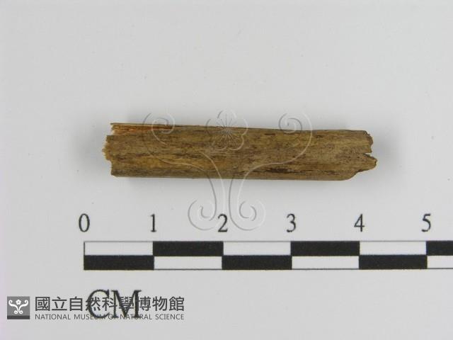 登錄號:F0009942藏品圖，第1張