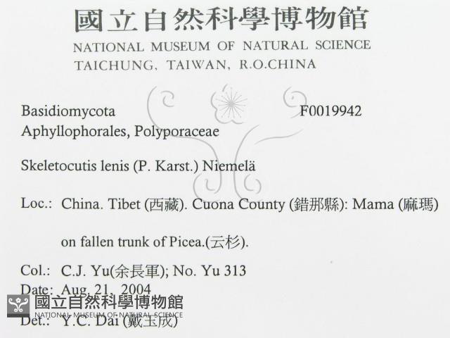 登錄號:F0019942藏品圖，第3張