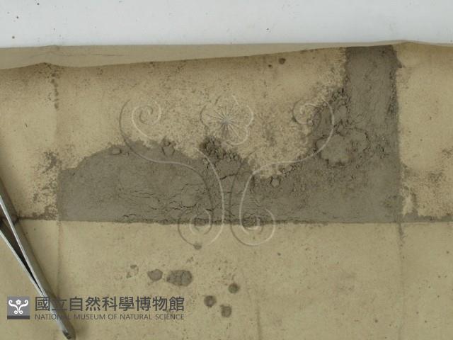 登錄號:F0011642藏品圖，第1張