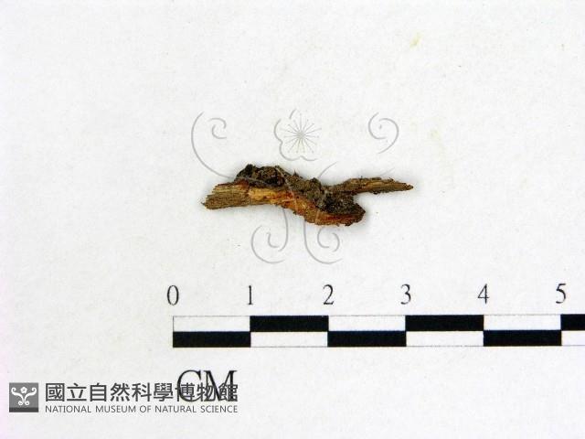 登錄號:F0014642藏品圖，第1張