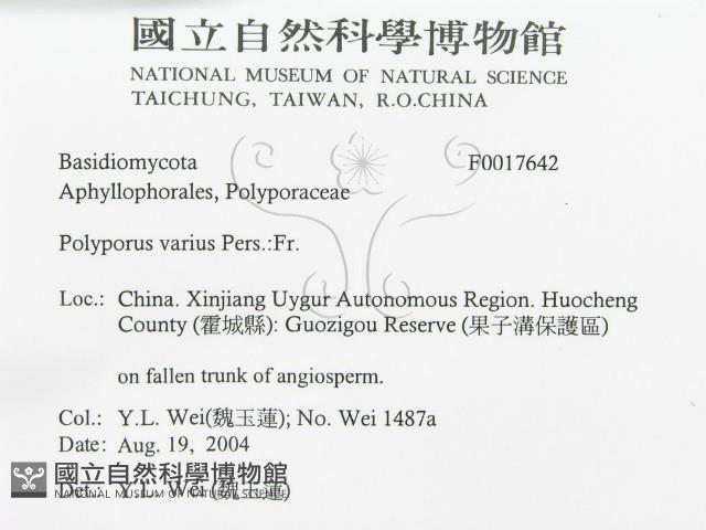 登錄號:F0017642藏品圖，第3張