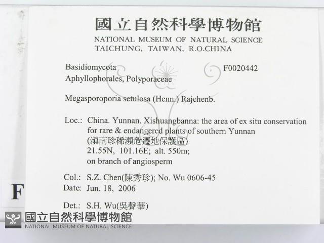 登錄號:F0020442藏品圖，第3張