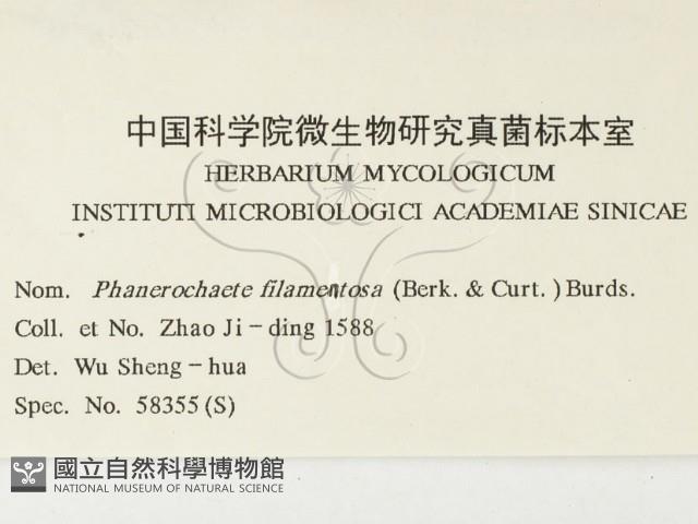 登錄號:F0000442藏品圖，第3張