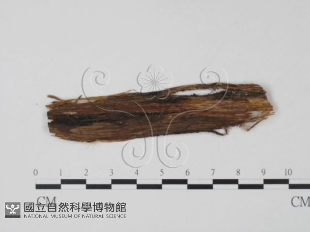 登錄號:F0011442藏品圖，第1張