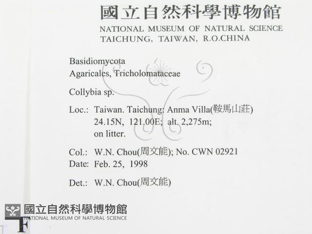 登錄號:F0010742藏品圖，第3張