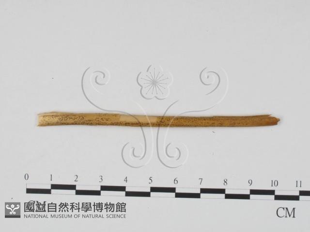 登錄號:F0011742藏品圖，第1張