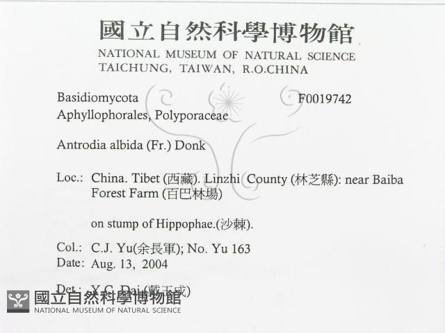登錄號:F0019742藏品圖，第3張