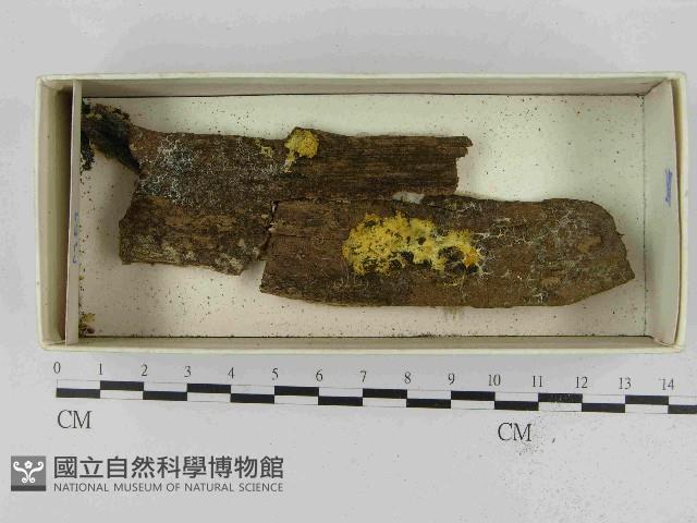 登錄號:F0021542藏品圖，第1張
