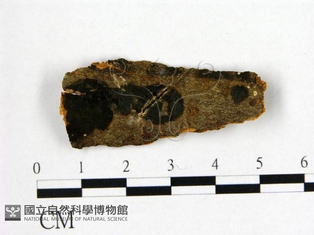 登錄號:F0022542藏品圖，第1張