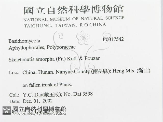 登錄號:F0017542藏品圖，第3張