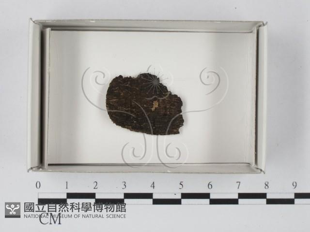 登錄號:F0018142藏品圖，第1張