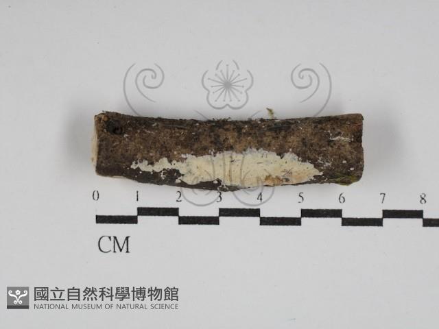 登錄號:F0030142藏品圖，第1張
