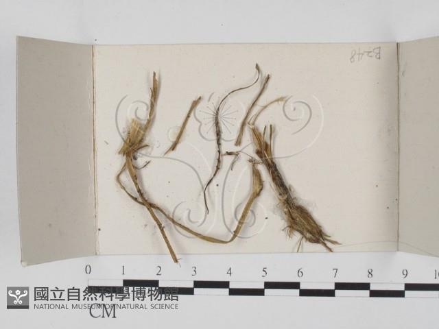 登錄號:F0021142藏品圖，第1張