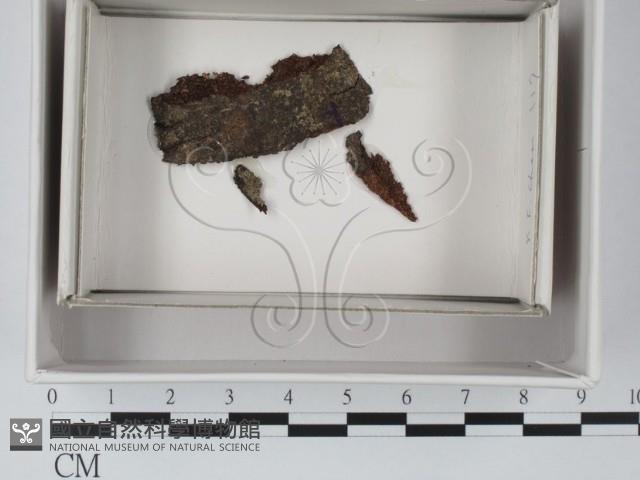 登錄號:F0018042藏品圖，第1張