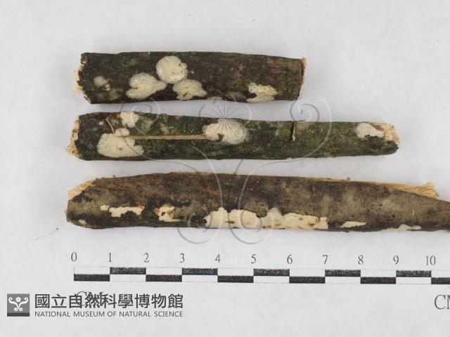 登錄號:F0027042藏品圖，第1張