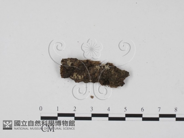 登錄號:F0009042藏品圖，第1張
