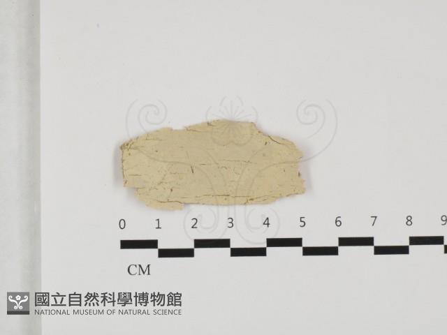 登錄號:F0032342藏品圖，第1張