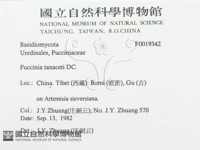 登錄號:F0019342藏品圖，第3張