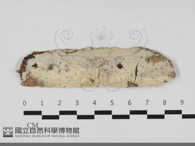 登錄號:F0033342藏品圖，第1張