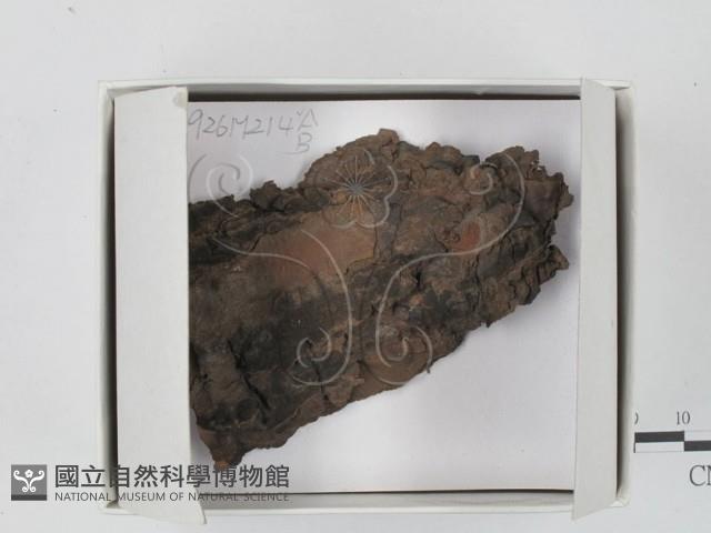 登錄號:F0018232藏品圖，第1張
