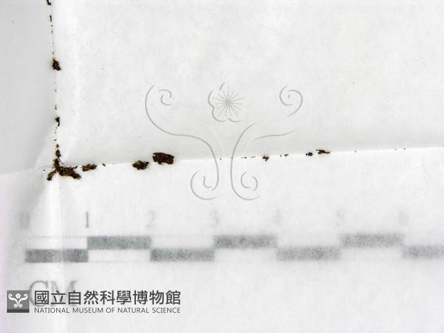 登錄號:F0000232藏品圖，第1張