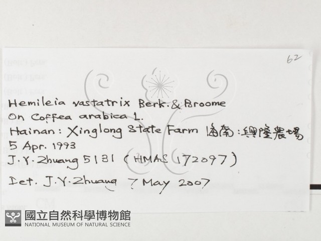 登錄號:F0026232藏品圖，第3張