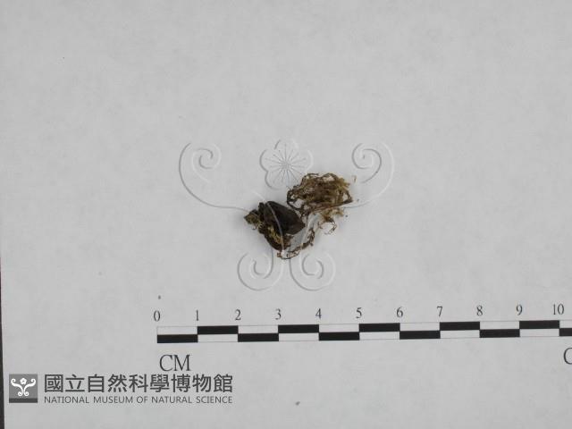 登錄號:F0002232藏品圖，第1張