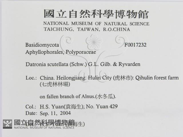 登錄號:F0017232藏品圖，第3張