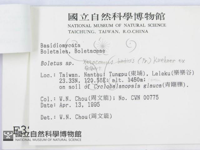 登錄號:F0003232藏品圖，第3張