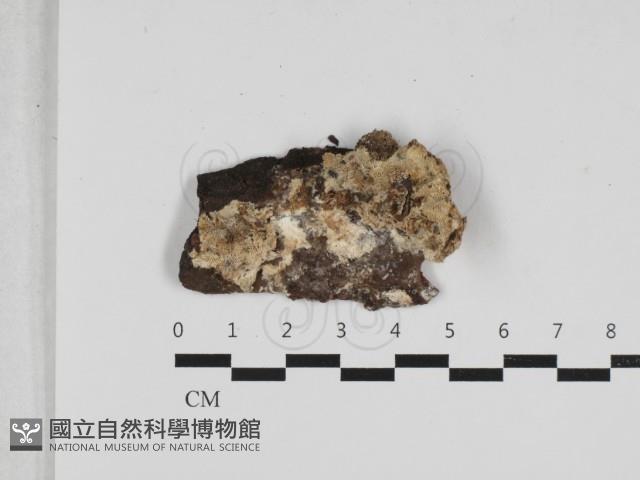 登錄號:F0033232藏品圖，第1張