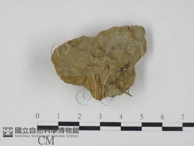 登錄號:F0004832藏品圖，第1張