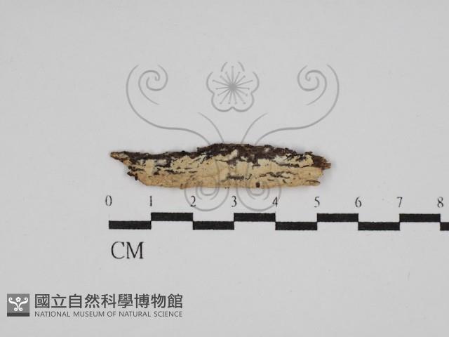 登錄號:F0029832藏品圖，第1張