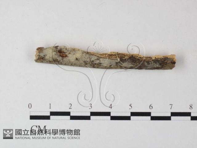 登錄號:F0023832藏品圖，第1張