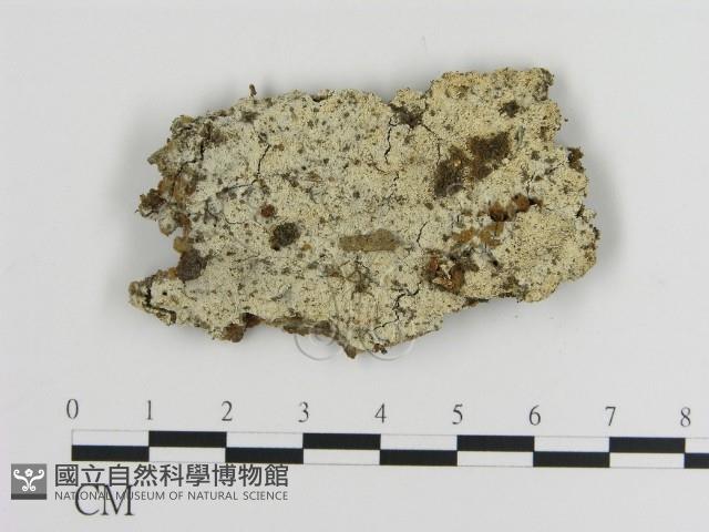 登錄號:F0016932藏品圖，第1張