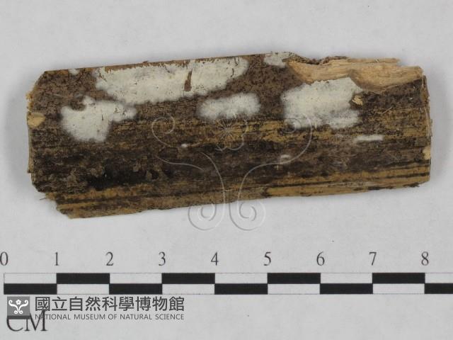 登錄號:F0024932藏品圖，第1張