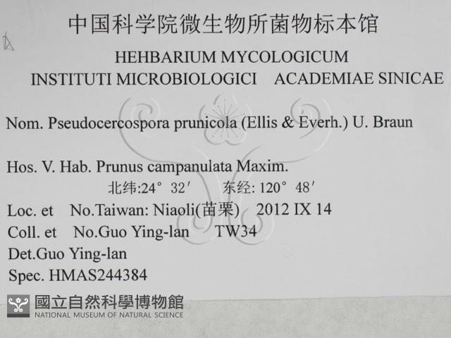 登錄號:F0027932藏品圖，第3張