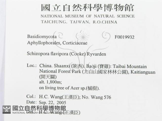 登錄號:F0019932藏品圖，第3張