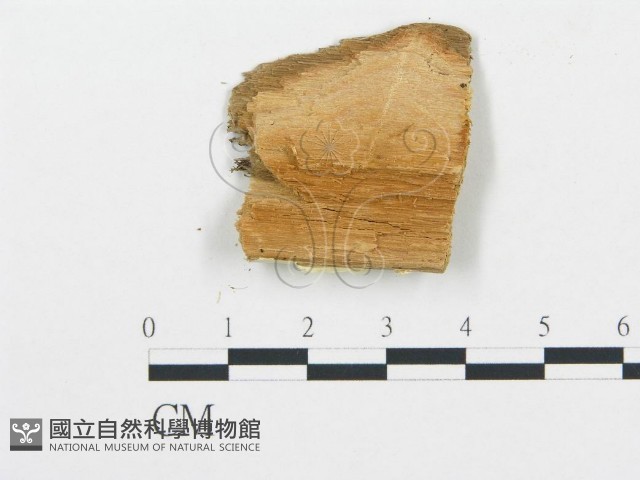 登錄號:F0013932藏品圖，第1張