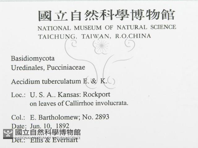 登錄號:F0011632藏品圖，第3張