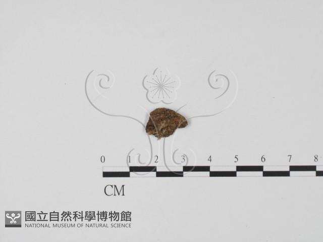 登錄號:F0019632藏品圖，第1張
