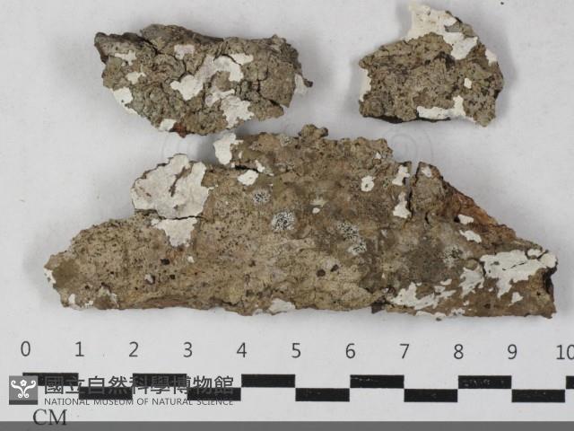 登錄號:F0033632藏品圖，第1張