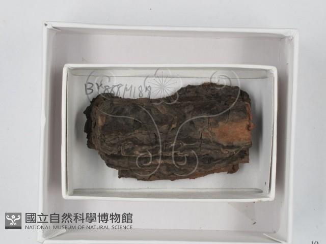 登錄號:F0018432藏品圖，第1張