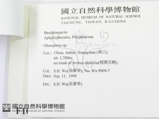 登錄號:F0010432藏品圖，第3張
