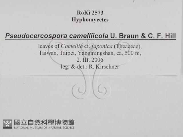 登錄號:F0022432藏品圖，第3張