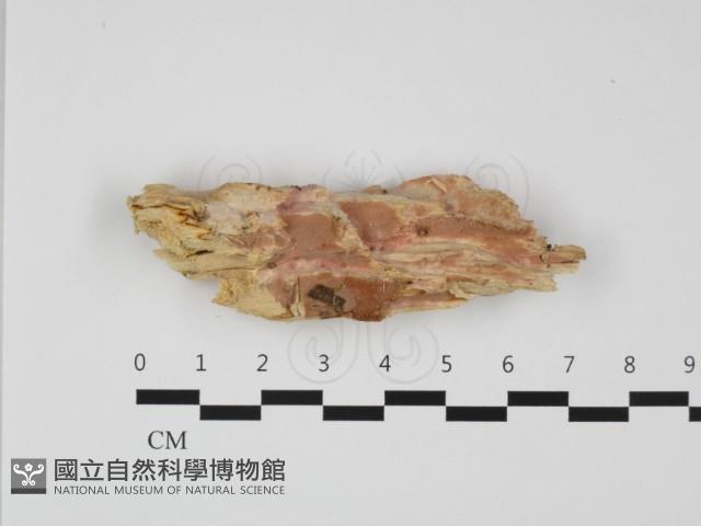 登錄號:F0032432藏品圖，第1張